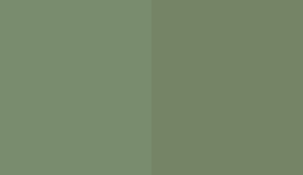 HEX #798C6E to RAL 6011 HEX #798C6E to RAL 6011