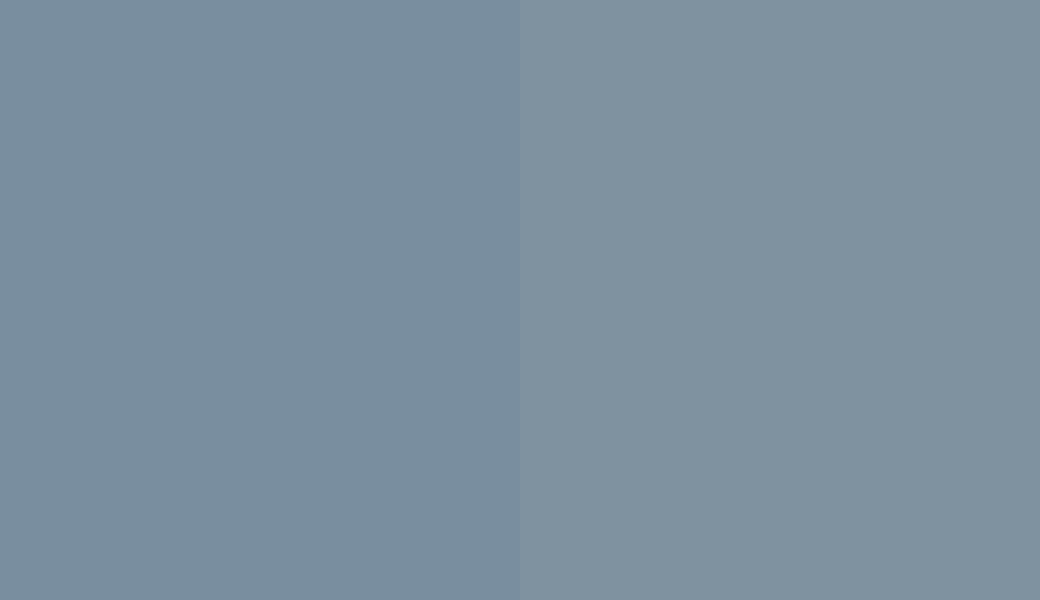 HEX #798E9F to RAL 250 60 10 HEX #798E9F to RAL 250 60 10