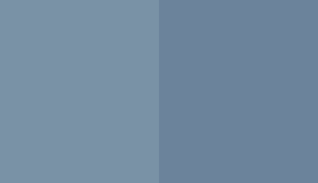 HEX #7992A6 to RAL 5014