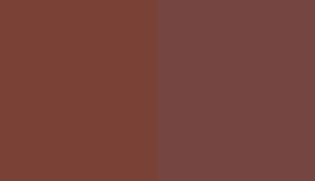 HEX #7A4137 to RAL 3009