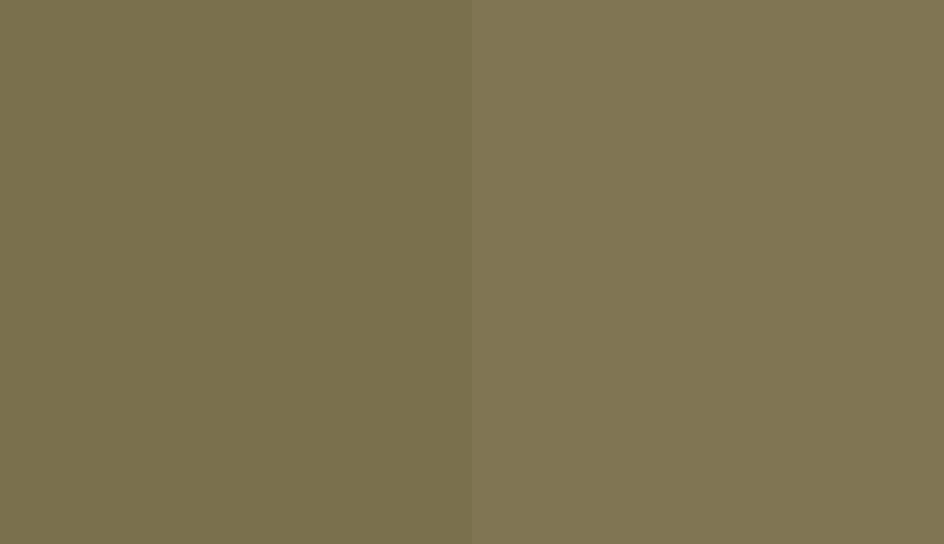 HEX #7A704D to RAL 095 50 20