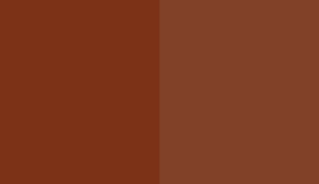 HEX #7B3217 to RAL 8029 HEX #7B3217 to RAL 8029