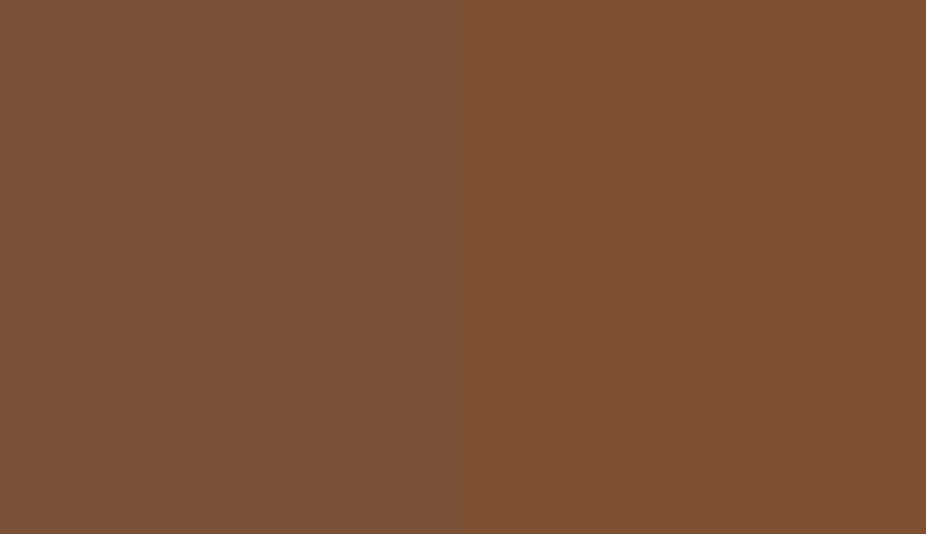 HEX #7B5238 to RAL 060 40 30