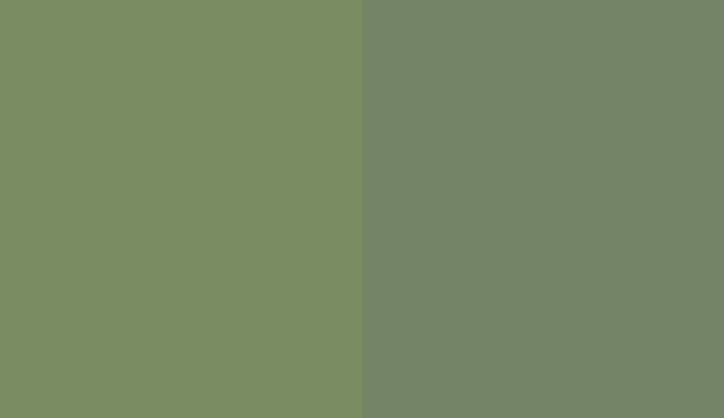 HEX #7B8C63 to RAL 6011