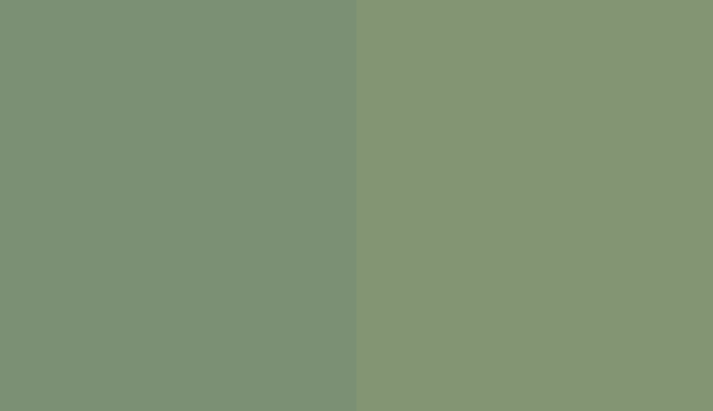 HEX #7B9074 to RAL 130 60 20 HEX #7B9074 to RAL 130 60 20