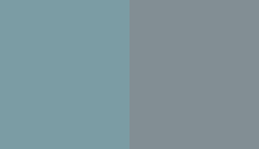 HEX #7B9CA4 to RAL 7000 HEX #7B9CA4 to RAL 7000
