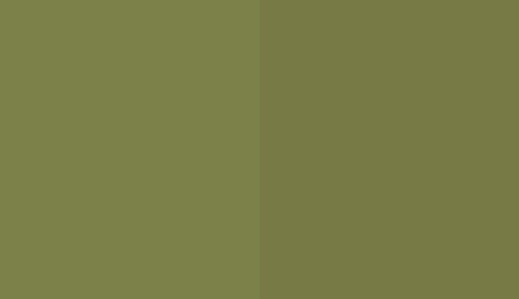 HEX #7C8149 to RAL 110 50 30 HEX #7C8149 to RAL 110 50 30