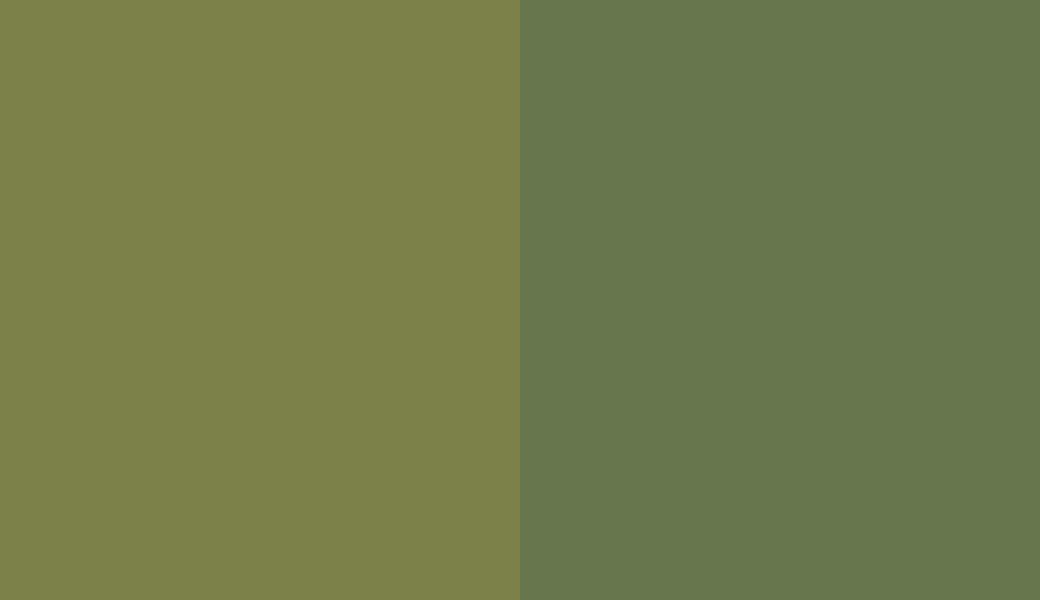 HEX #7C8149 to RAL 6025 HEX #7C8149 to RAL 6025