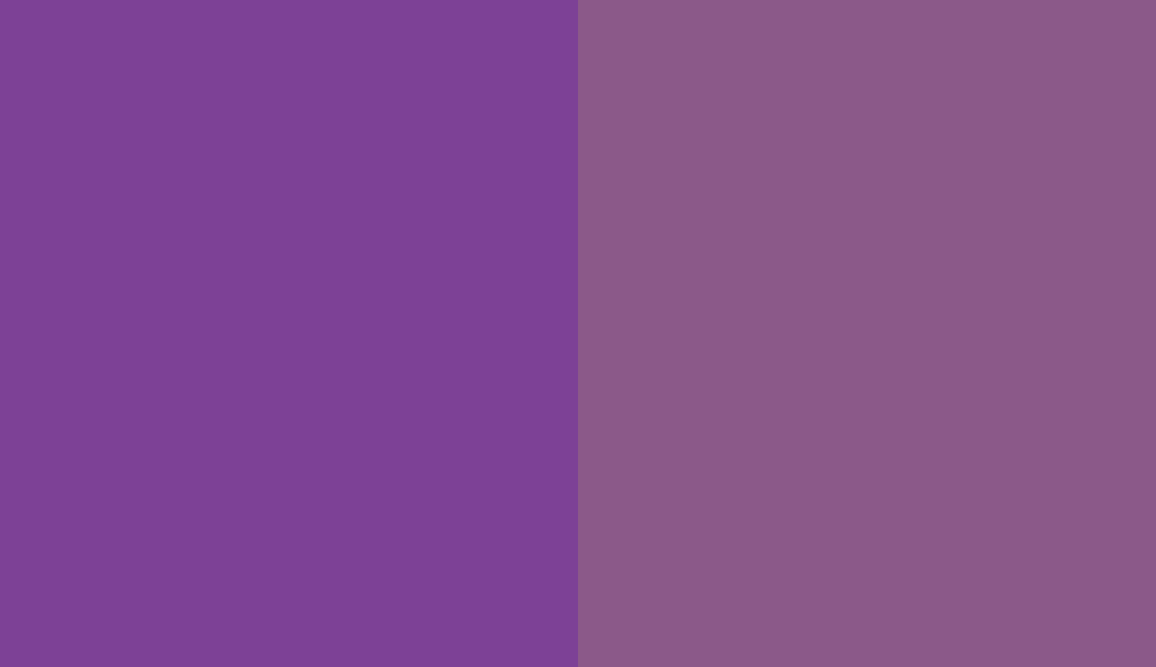 HEX #7D4196 to RAL 4008