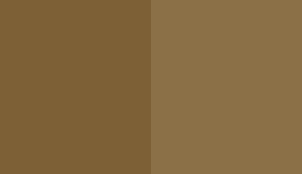 HEX #7D6036 to RAL 1036