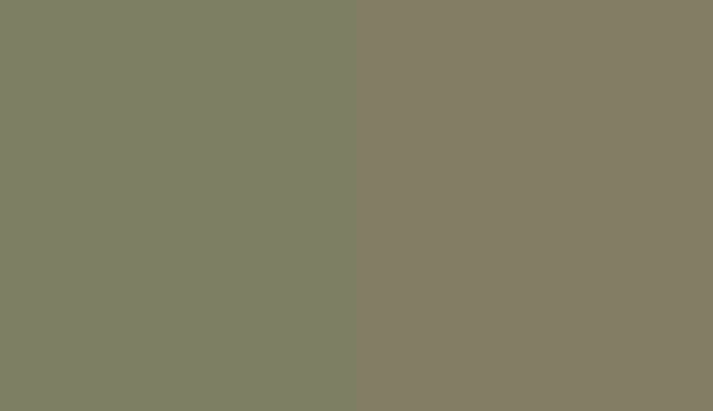 HEX #7D7F63 to RAL 6013 HEX #7D7F63 to RAL 6013