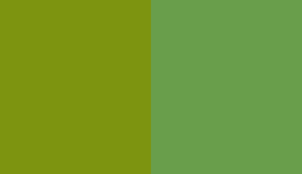 HEX #7D9410 to RAL 6018