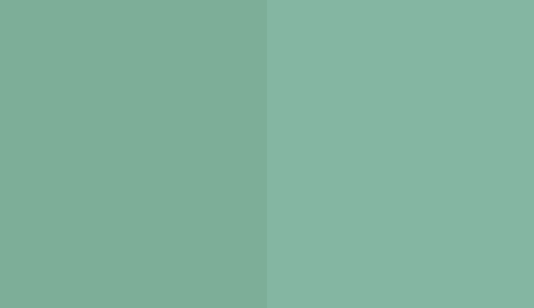 HEX #7DAE98 to RAL 170 70 20