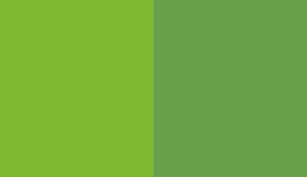 HEX #7DBA30 to RAL 6018