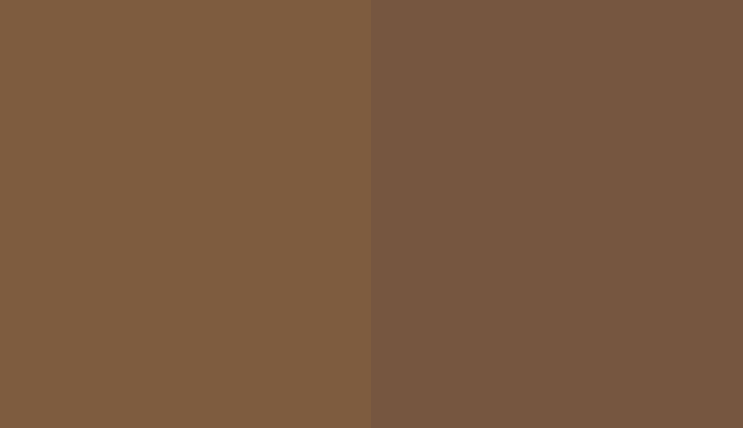 HEX #7E5C3F to RAL 060 40 20