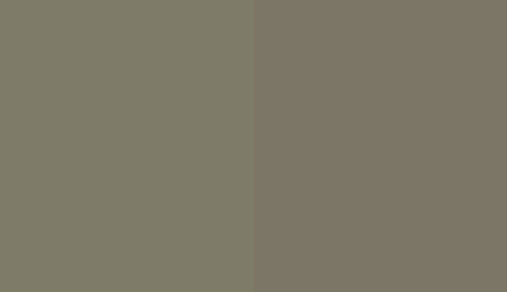 HEX #7E7B68 to RAL 090 50 10 HEX #7E7B68 to RAL 090 50 10