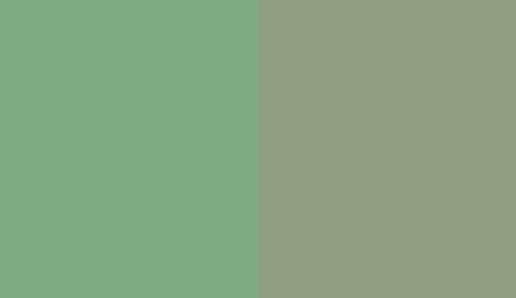 HEX #7EAC80 to RAL 6021