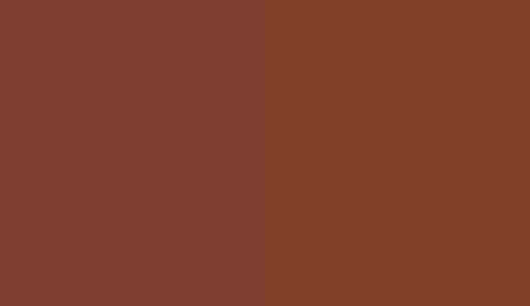 HEX #7F3E31 to RAL 8029