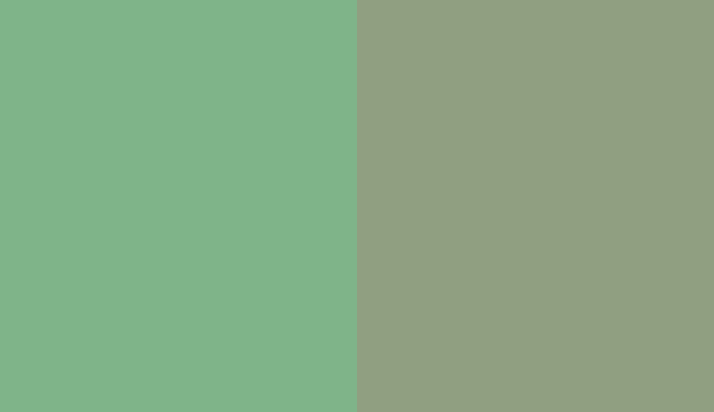 HEX #7FB489 to RAL 6021