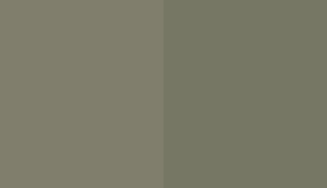 HEX #807E6C to RAL 110 50 10 HEX #807E6C to RAL 110 50 10