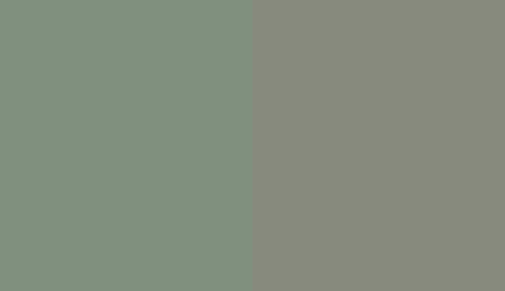 HEX #80907E to RAL 7033 HEX #80907E to RAL 7033
