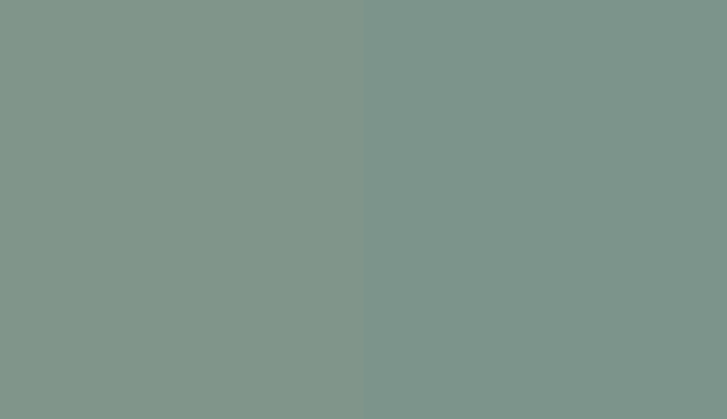HEX #80958A to RAL 170 60 10