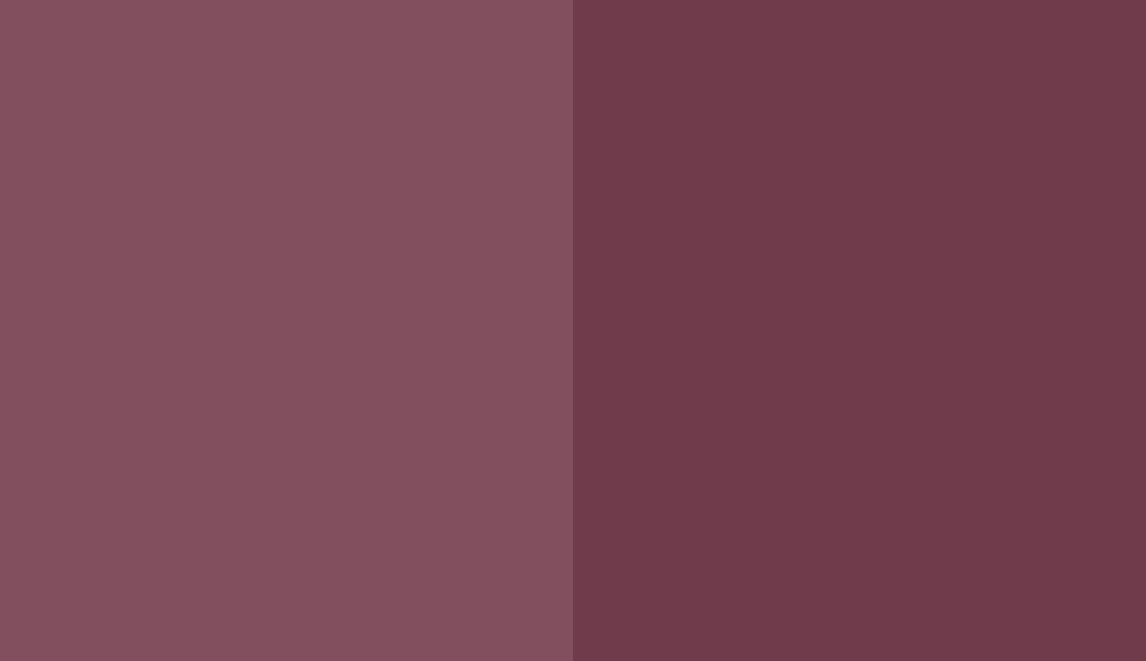 HEX #824F5E to RAL 4004