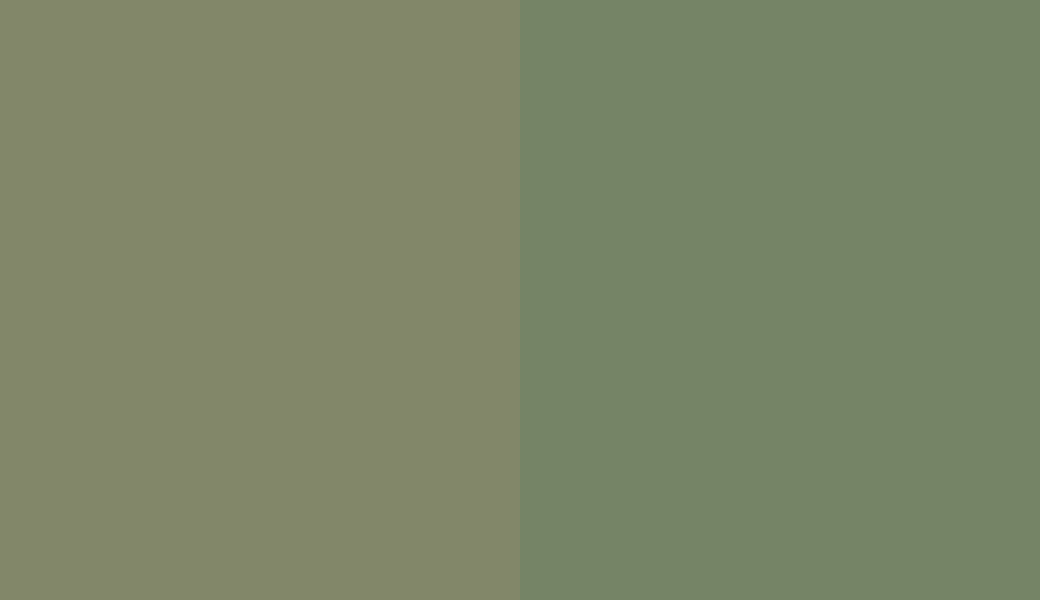 HEX #828769 to RAL 6011