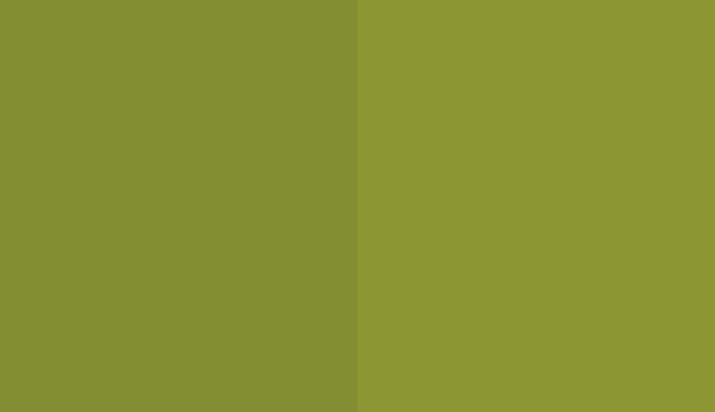 HEX #828E31 to RAL 110 60 50 HEX #828E31 to RAL 110 60 50