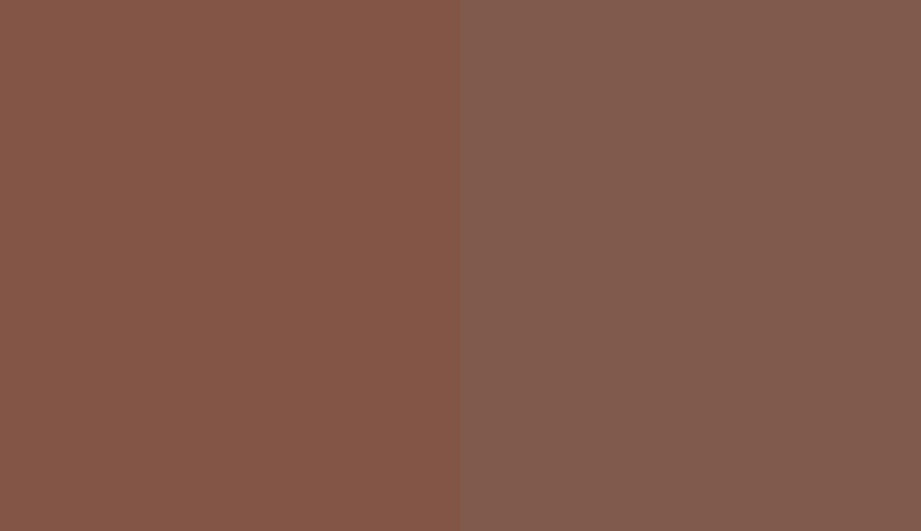 HEX #835546 to RAL 8002