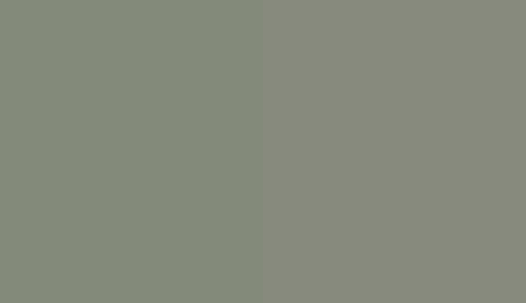HEX #838A7A to RAL 7033