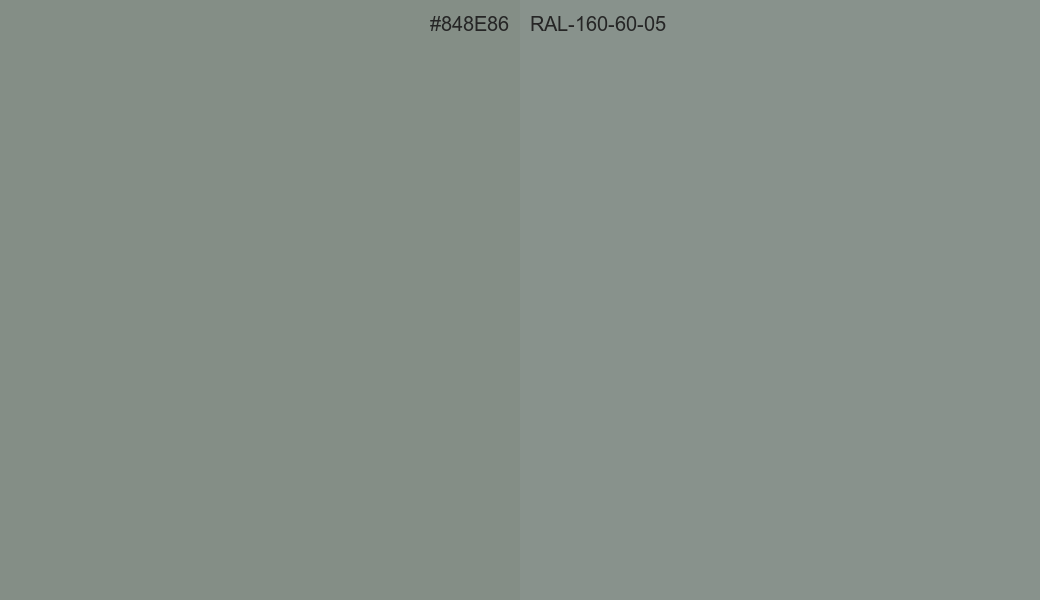 HEX Color 848E86 to RAL 160 60 05 Conversion comparison