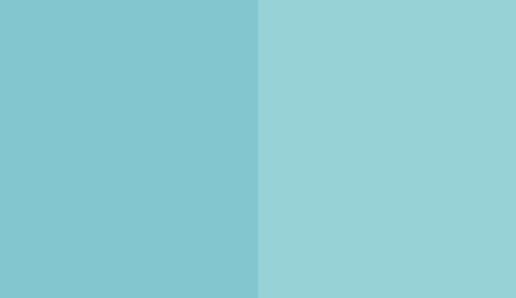 HEX #84C6CF to RAL 210 80 20