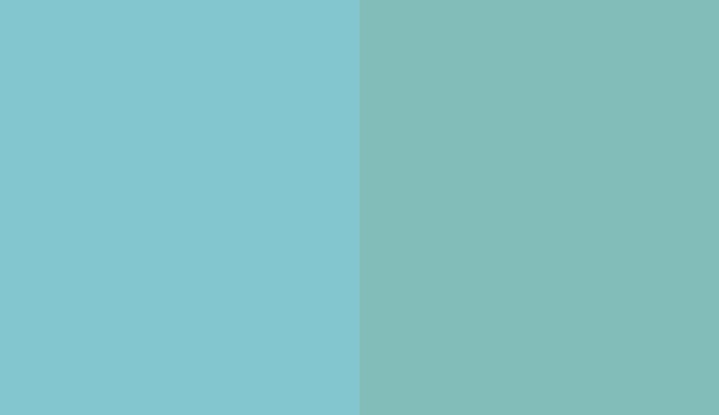 HEX #84C6CF to RAL 6027