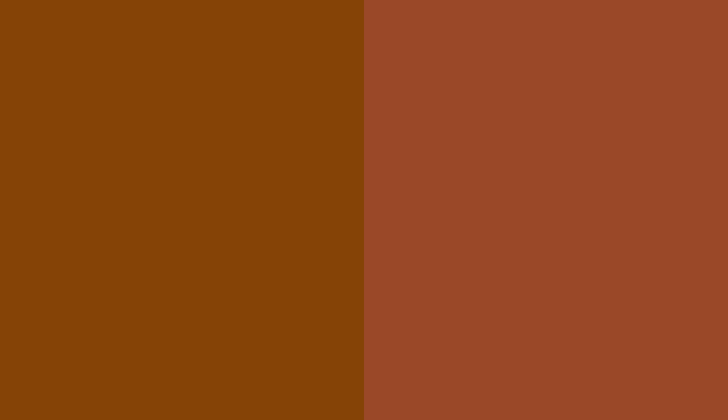 HEX #854306 to RAL 2013