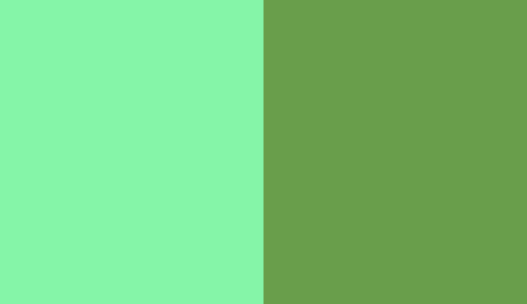 HEX #85F5A8 to RAL 6018 HEX #85F5A8 to RAL 6018