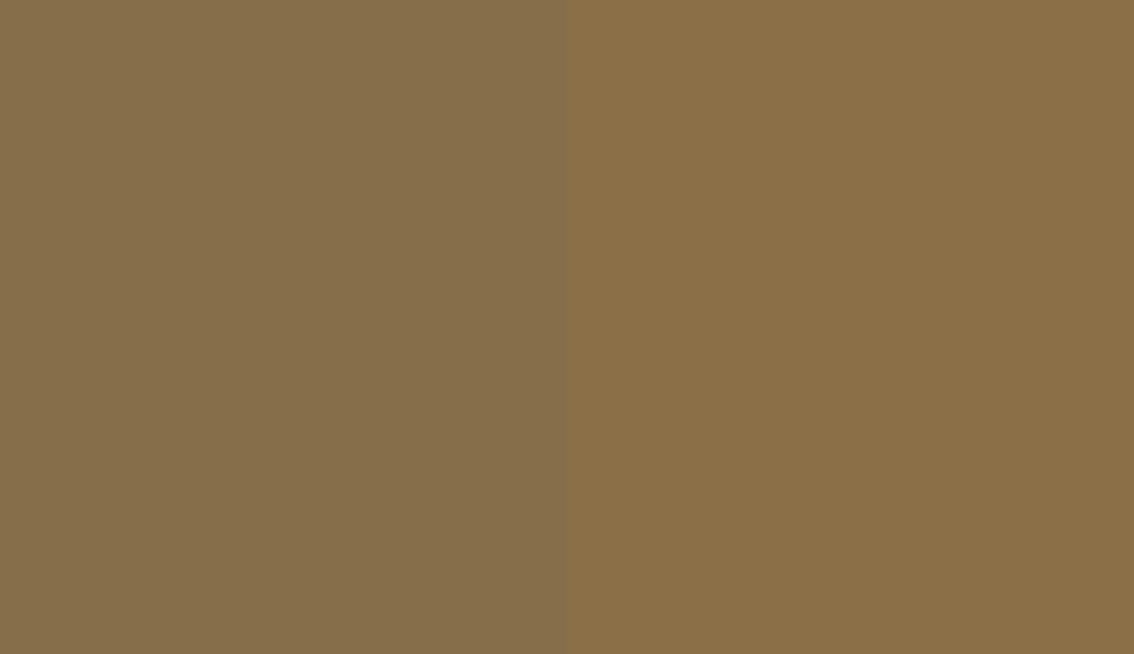HEX #866E4B to RAL 1036