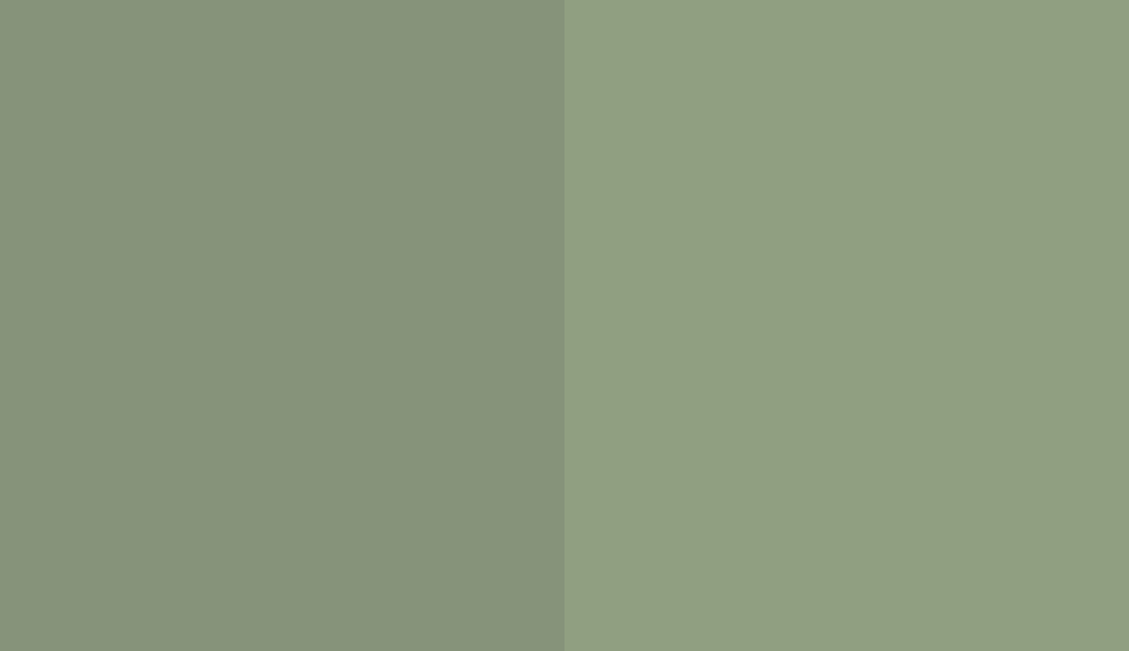 HEX #86937A to RAL 6021
