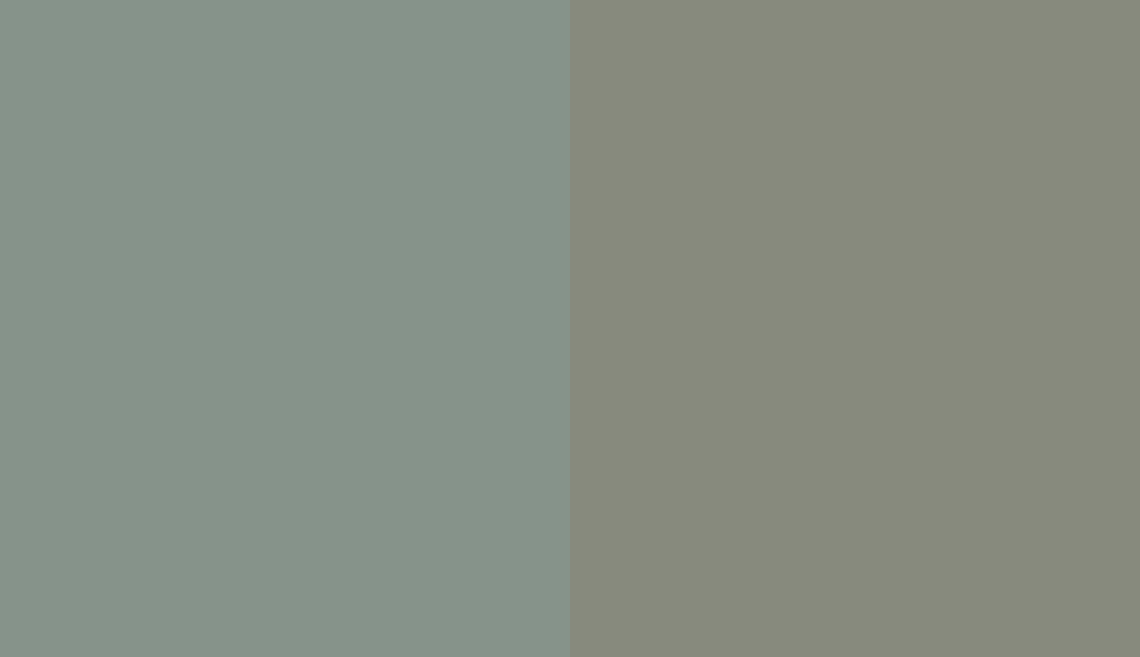 HEX #86938A to RAL 7033