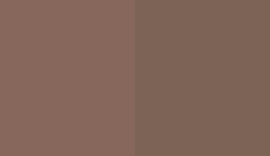 HEX #87675C to RAL 8025