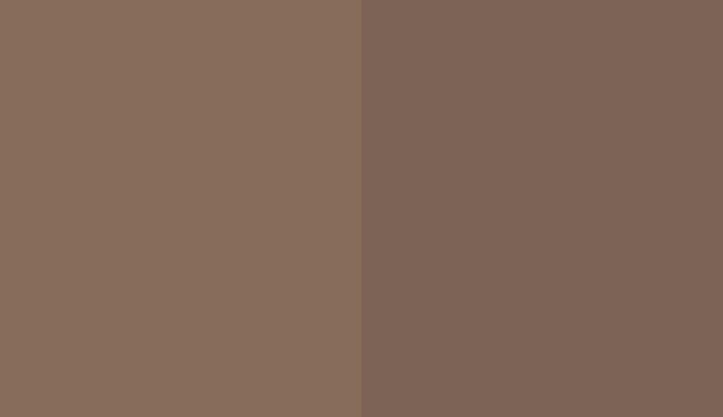 HEX #876C5C to RAL 8025