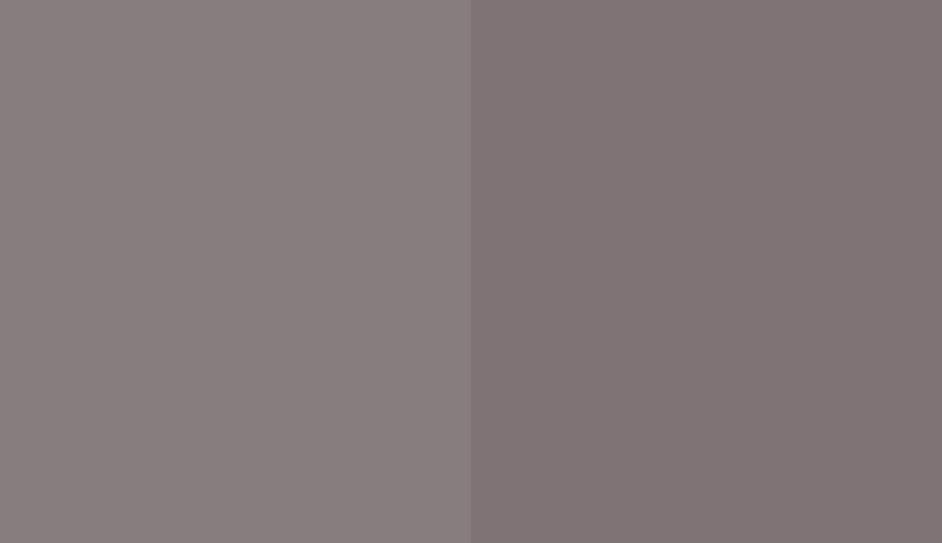 HEX #877D7F to RAL 360 50 05