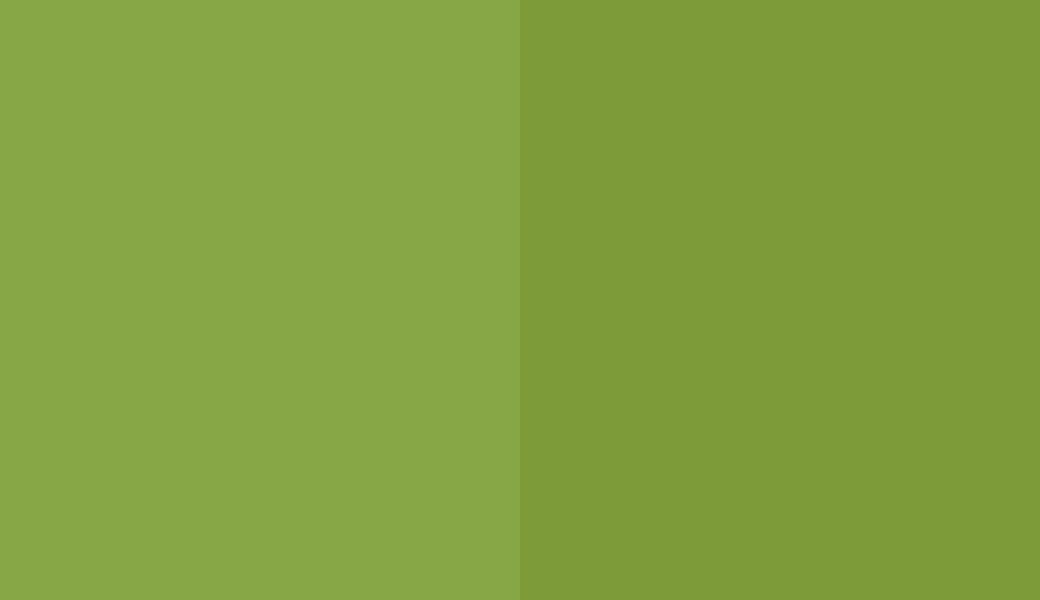 HEX #87A645 to RAL 120 60 50