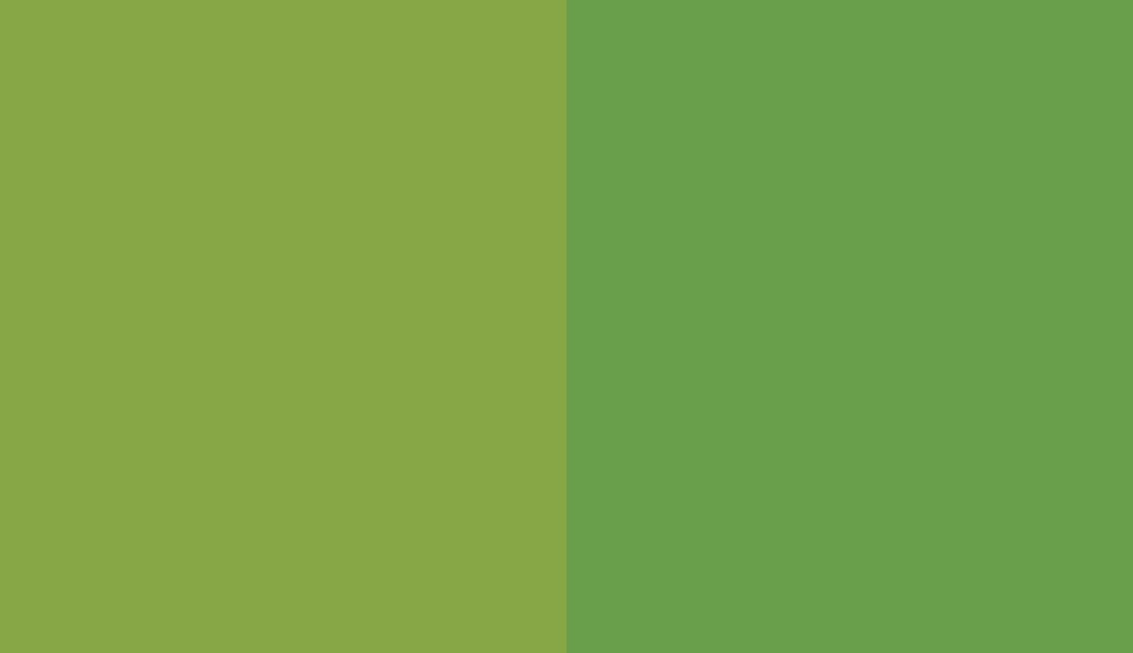 HEX #87A645 to RAL 6018