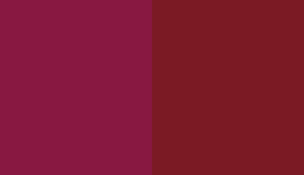 HEX #881841 to RAL 3032