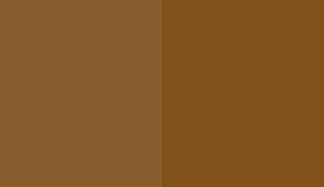 HEX #885C2C to RAL 070 40 40