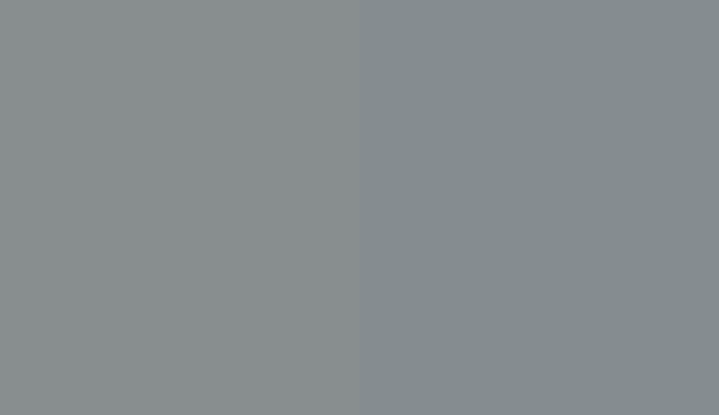 HEX #888E8F to RAL 7046