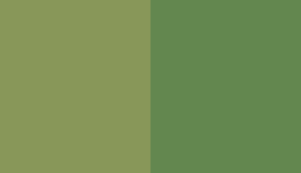 HEX #889759 to RAL 6017