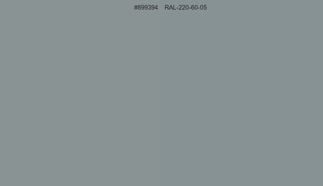 HEX Color 899394 to RAL 220 60 05 Conversion comparison