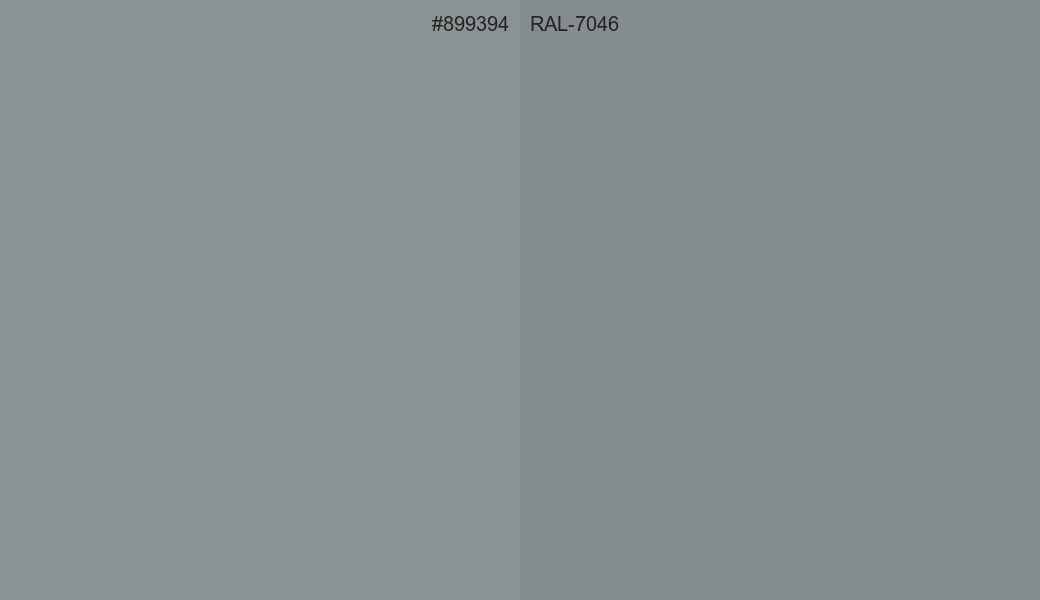 HEX Color 899394 to RAL 7046 Conversion comparison